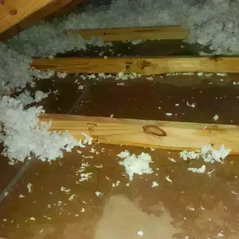 Attic Water Damage in Crane, MO